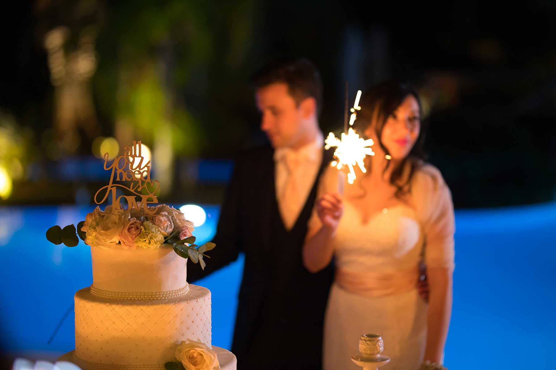 wedding-oleandri